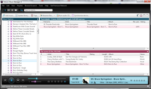 Helium Music Manager 9 interface