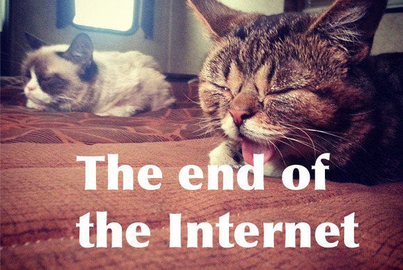 Lil Bub and Grumpy Cat