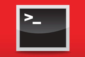 terminal