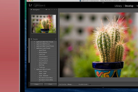iphotoalternatives primary