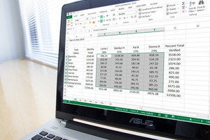 dimensionalspreadsheets primary