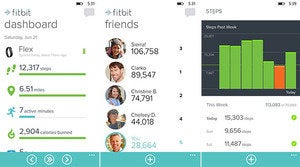 fitbit windows phone