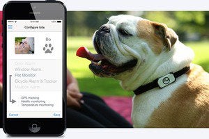iota phone scene pet