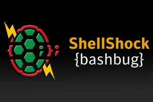 shellshock bug