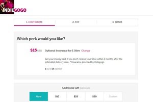 indiegogoinsurance