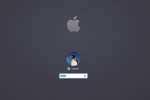 login screen