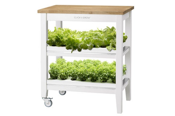 Image Result For Startup Garden Image Result For Startup Garden