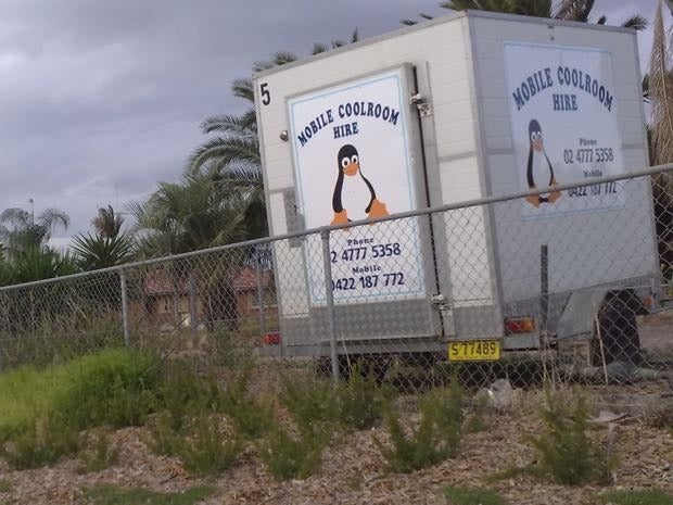 tux penguin