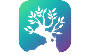 away ios icon