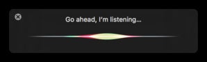 macos siri window