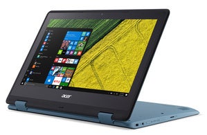 acerspin1