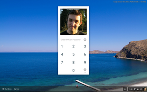 PIN unlock on a Chromebook.