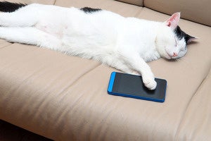 the list apps for lazy people