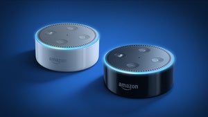 amazonechodot