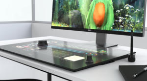 dell canvas 27 image
